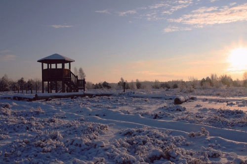 06_SchoenowerHeide_Aussicht_D.Schwarz