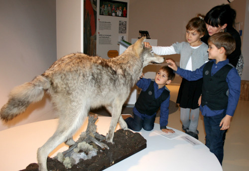 BarPan_Sonderausstellung_Wolf_6747_BS